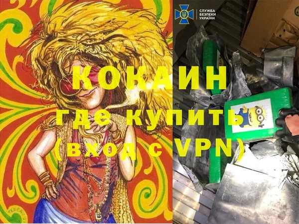 кокс Касимов