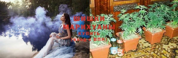 PSILOCYBIN Беломорск