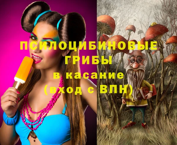 PSILOCYBIN Беломорск