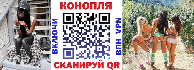 где продают   Котельники  Бошки Шишки SATIVA & INDICA 